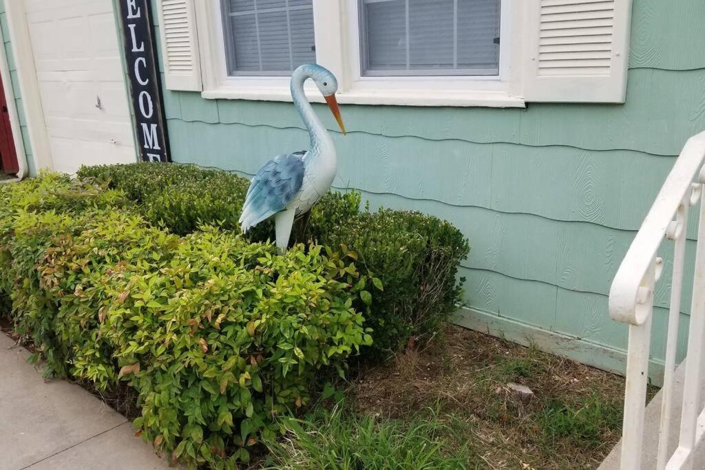 Blue Flamingo'S Charming Home-Heart Of Tulsa2- Cherry St-Expo-11Th Dış mekan fotoğraf